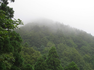c0077338_11281043.jpg