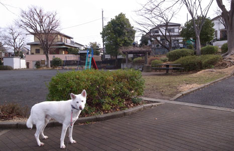 a0117039_1941571.jpg
