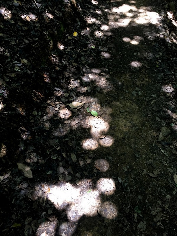 b0057140_21325362.jpg