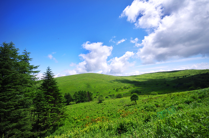 b0130243_2015281.jpg