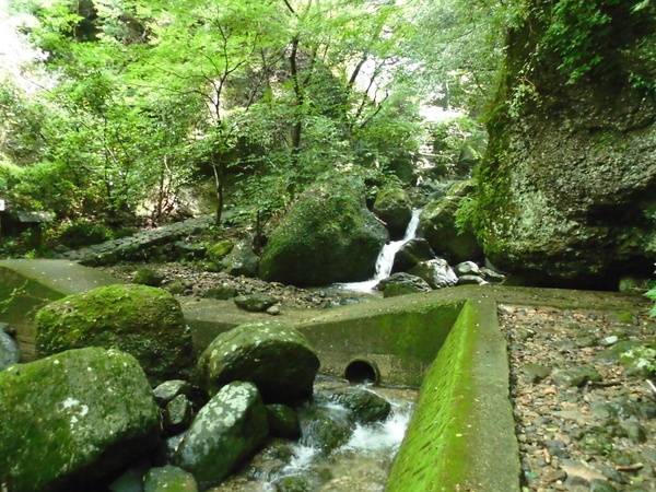 a0206345_19483163.jpg