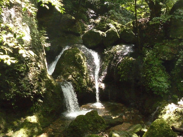 a0206345_19512176.jpg