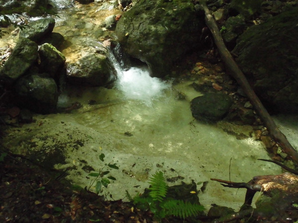 a0206345_19531036.jpg