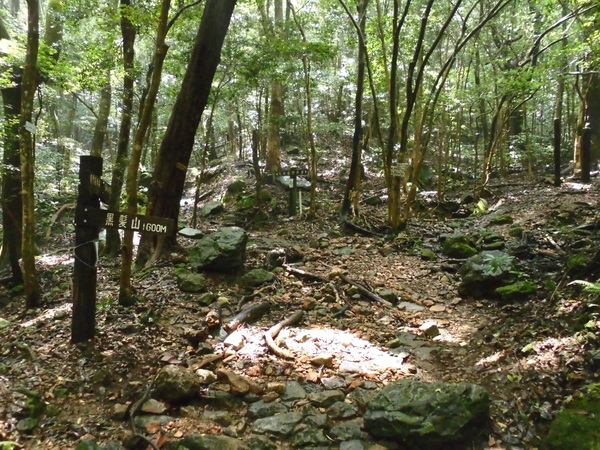 a0206345_1955199.jpg