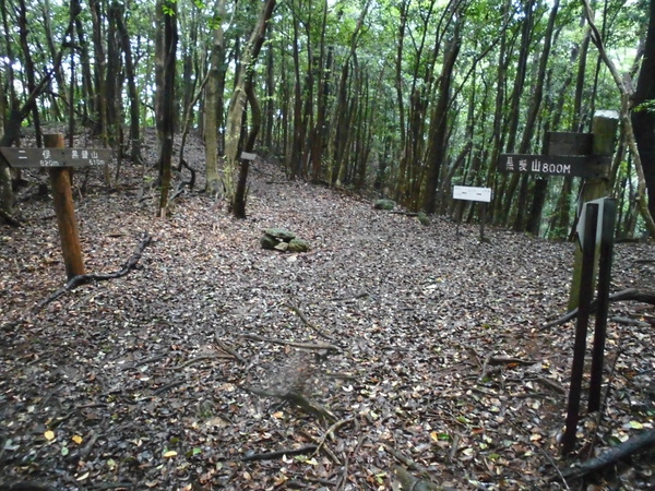 a0206345_19563552.jpg
