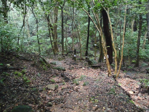 a0206345_2053473.jpg