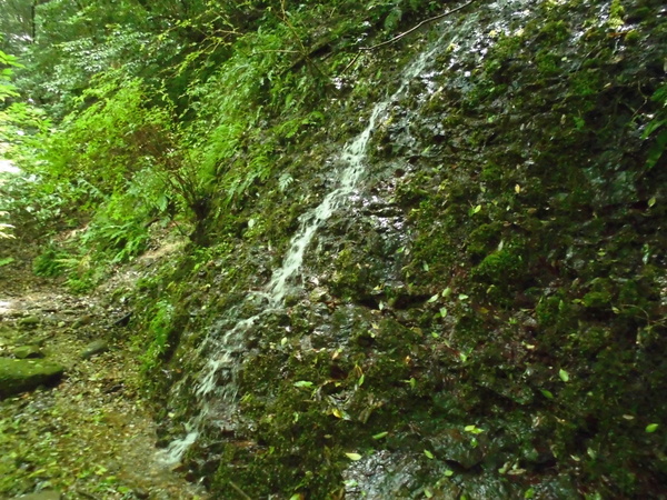 a0206345_2061557.jpg