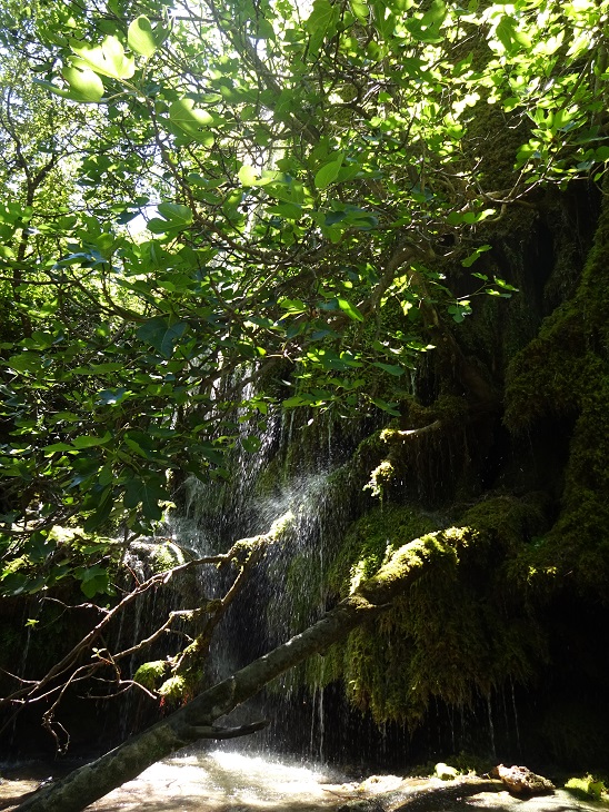 f0194446_411538.jpg