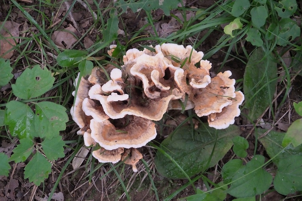 b0236251_10354569.jpg