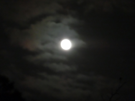c0328559_20454397.jpg