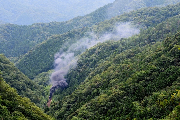 d0336159_17575834.jpg
