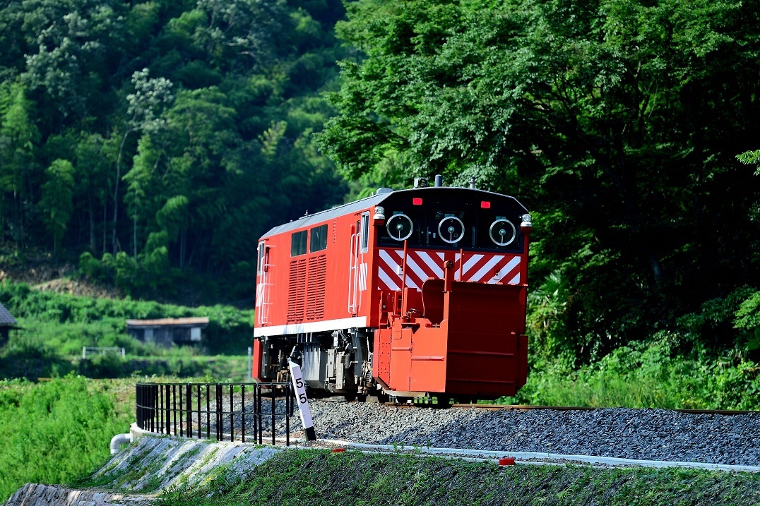 d0336159_18322074.jpg