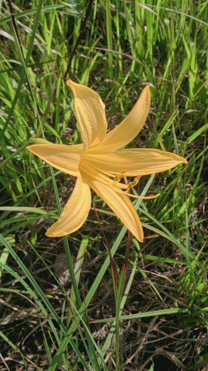 c0002171_17405889.jpg