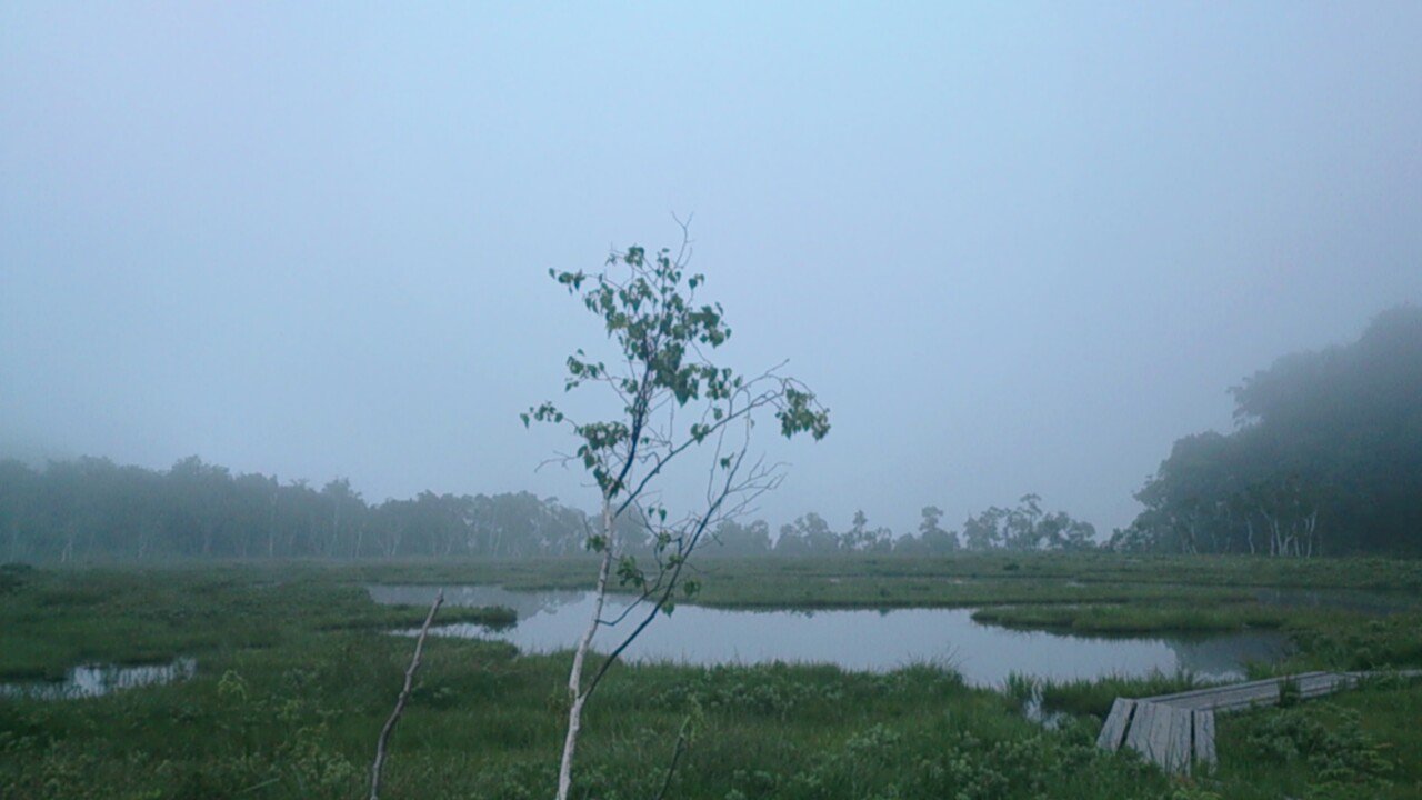 c0002171_1744045.jpg