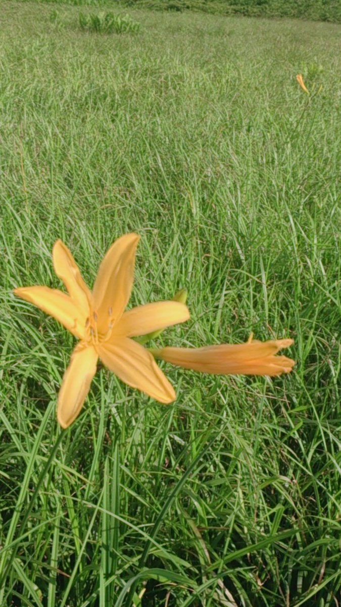 c0002171_17534259.jpg