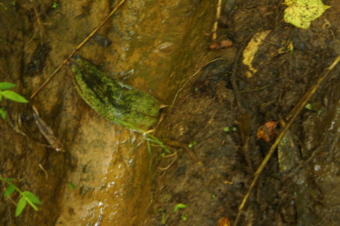 e0307372_14172260.jpg