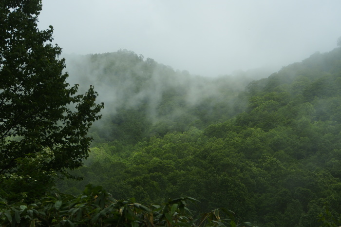 e0307372_14180819.jpg