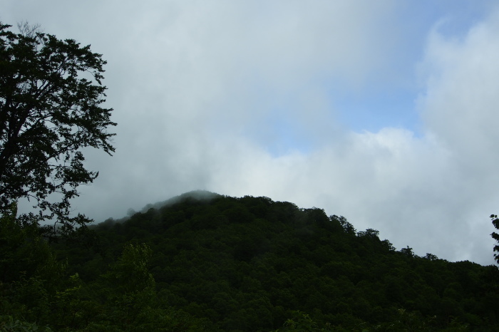 e0307372_14182669.jpg