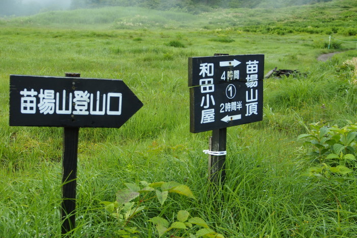 e0307372_14224325.jpg
