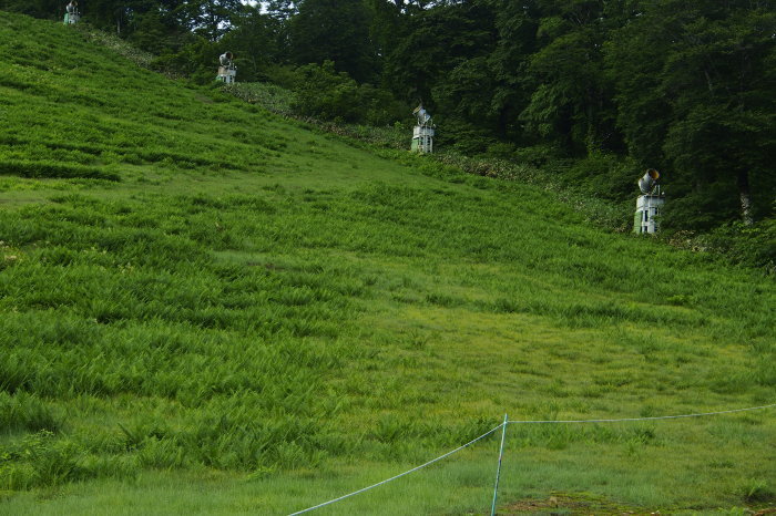 e0307372_14241692.jpg