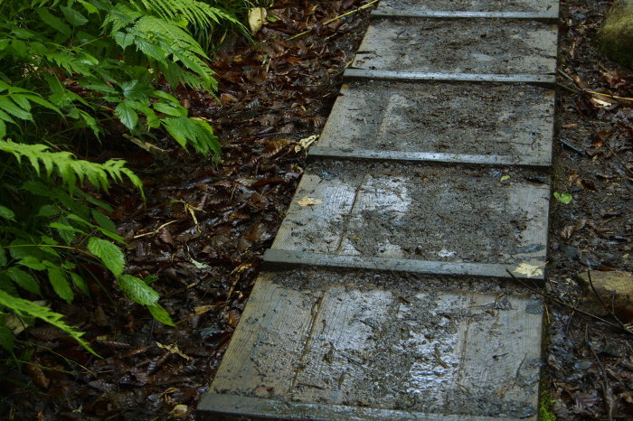 e0307372_14243559.jpg