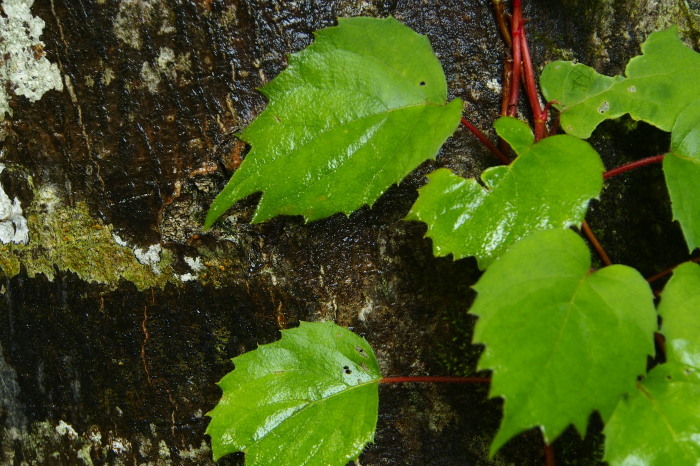 e0307372_14250421.jpg