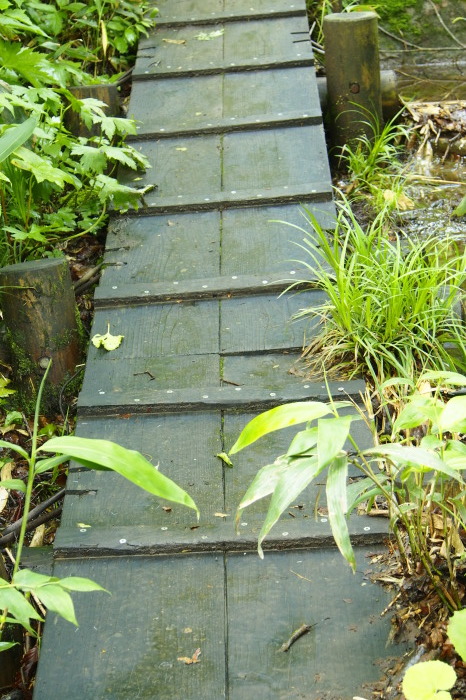 e0307372_14260040.jpg