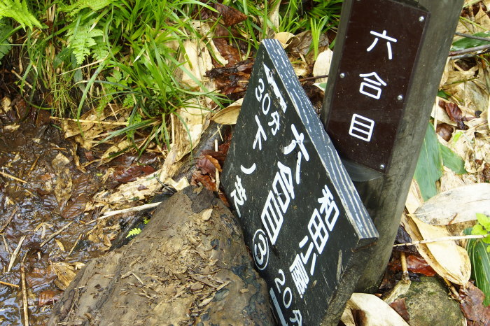 e0307372_14394239.jpg