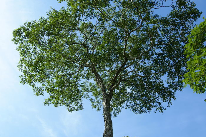 e0307372_14411145.jpg