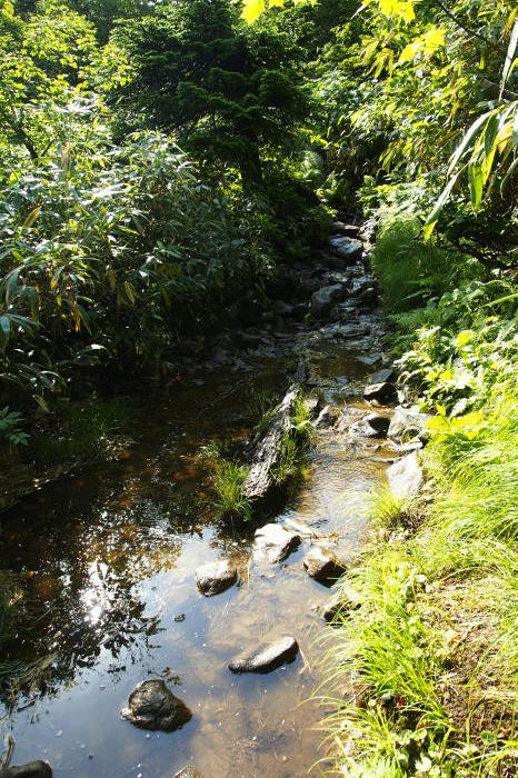 e0307372_14414187.jpg