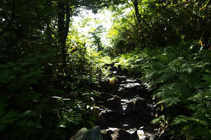 e0307372_14415989.jpg
