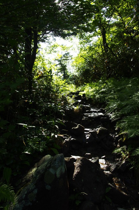 e0307372_14422429.jpg
