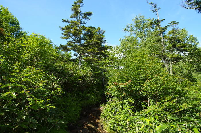e0307372_15503087.jpg