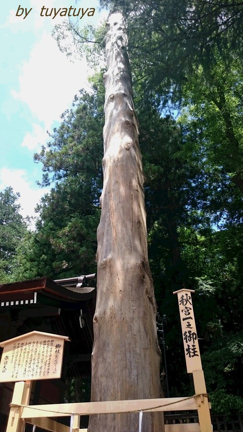 b0245877_22494782.jpg