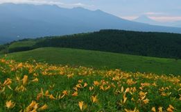 b0245877_23255452.jpg