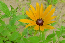 f0150377_1871379.jpg