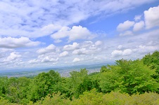 f0150377_1885119.jpg