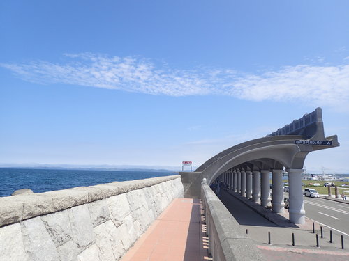 e0241691_131130.jpg