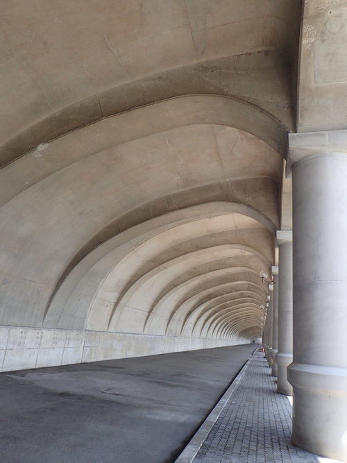 e0241691_1311879.jpg