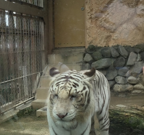 f0033893_15212775.jpg