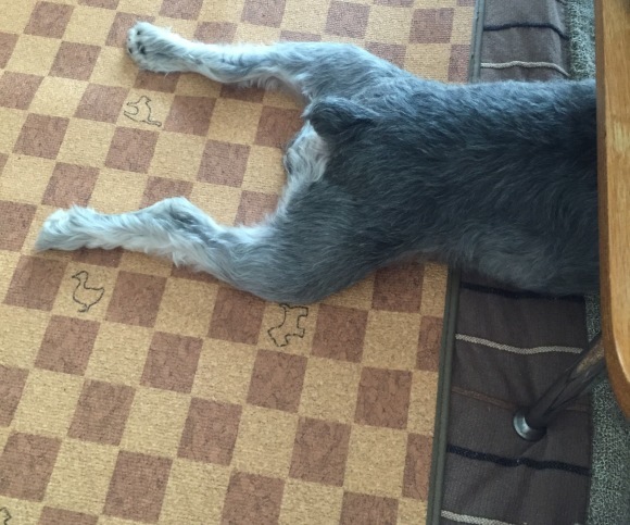 b0188998_23321091.jpeg