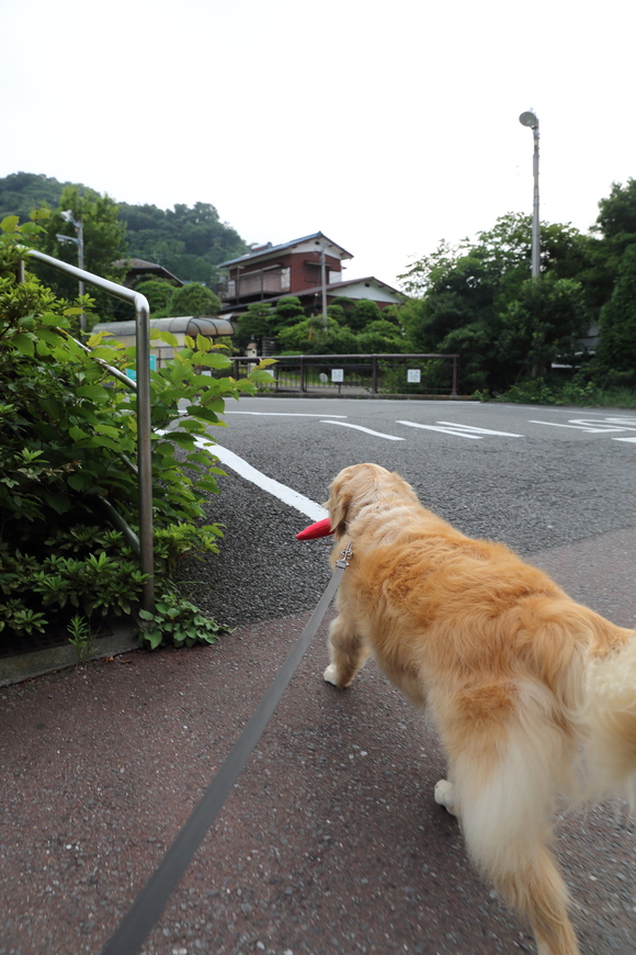 b0275998_12124856.jpg
