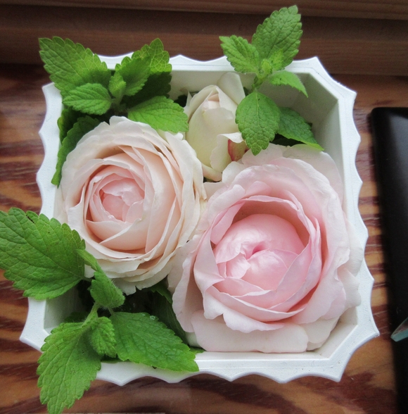 d0009101_9123231.jpg