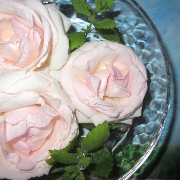 d0009101_913324.jpg