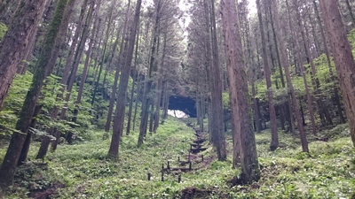 f0061705_20272023.jpg