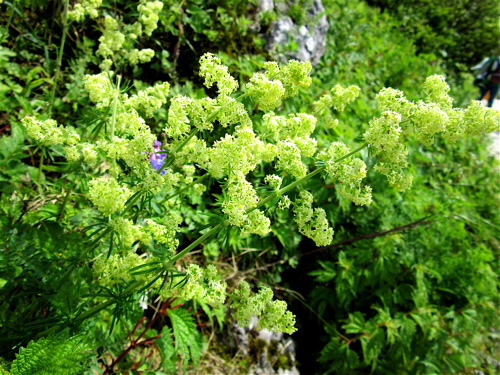a0164011_2031478.jpg