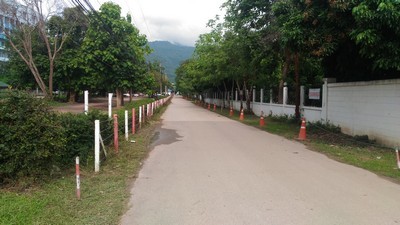 c0071527_17452117.jpg