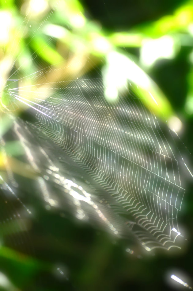 a0248728_182434.jpg
