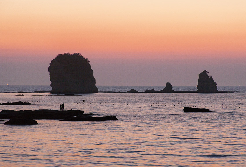 d0147530_1116339.jpg