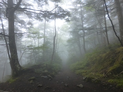 f0304030_1729144.jpg